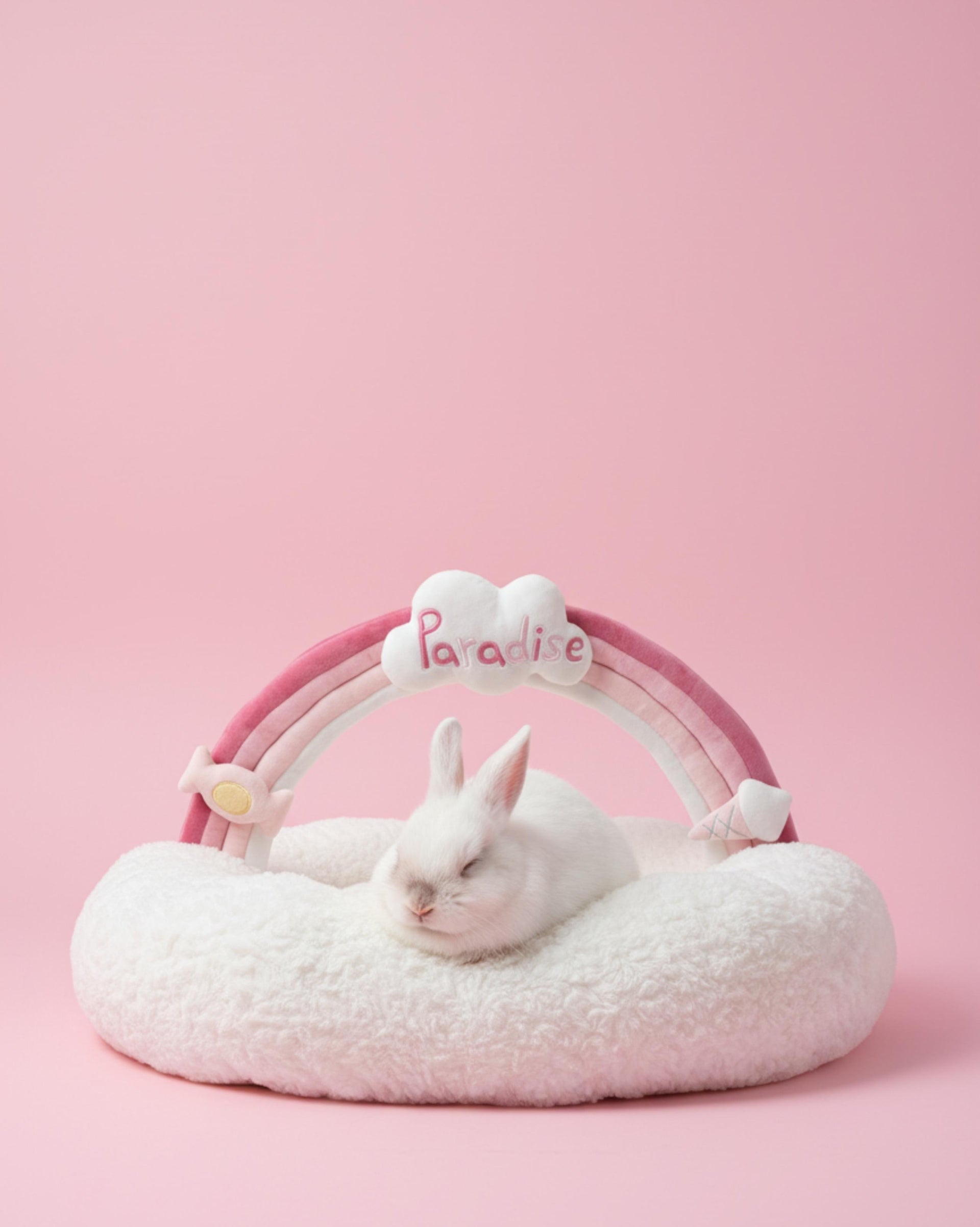 VLIZ Pets Rainbow Cloud Bed in Pink Or BabyBlue, handmade with imitation rabbit velvet fabric, featuring a cloud-shaped supportive base and detachable rainbow arch, Disney-certified quality.