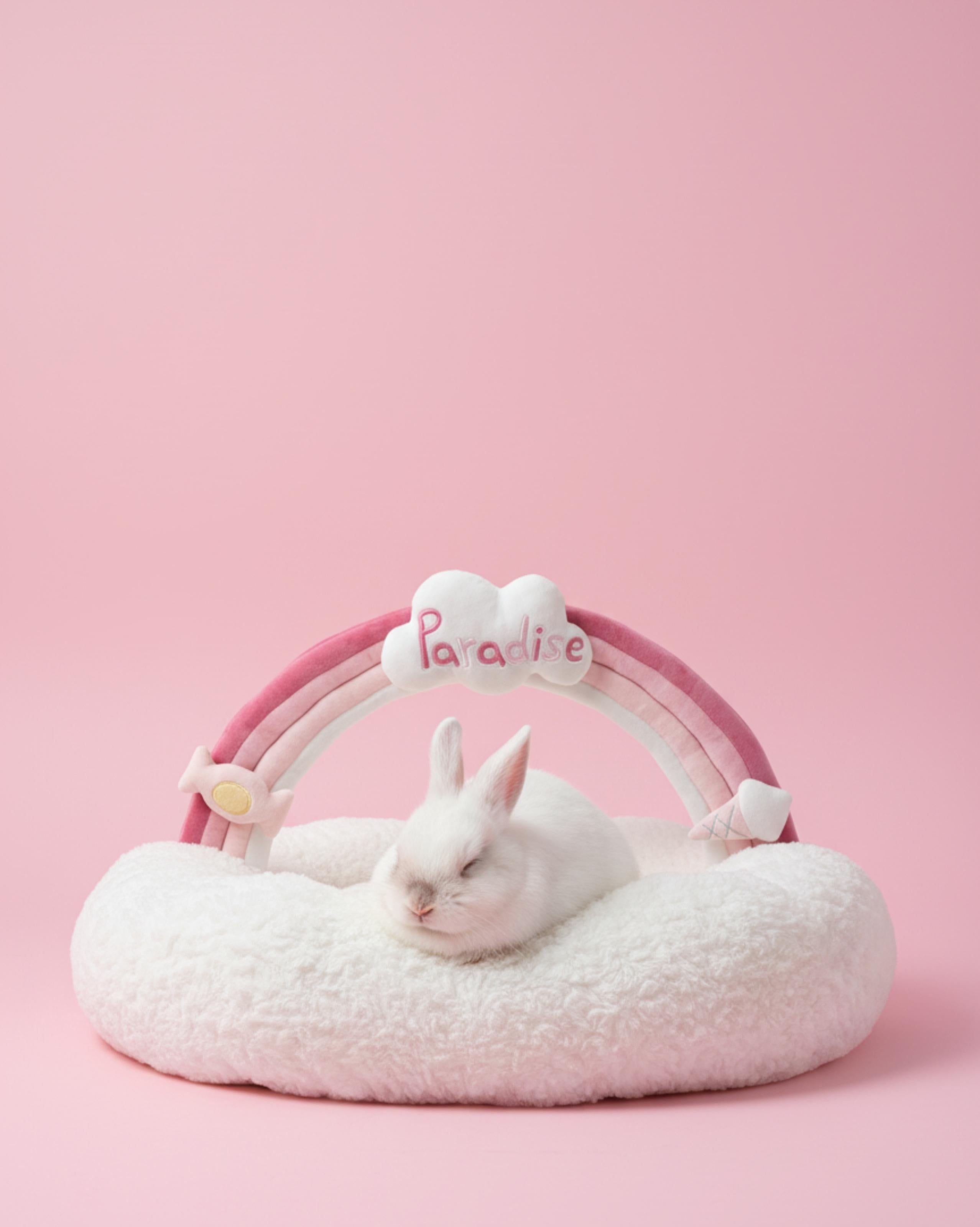 VLIZ Pets Rainbow Cloud Bed in Pink Or BabyBlue, handmade with imitation rabbit velvet fabric, featuring a cloud-shaped supportive base and detachable rainbow arch, Disney-certified quality.