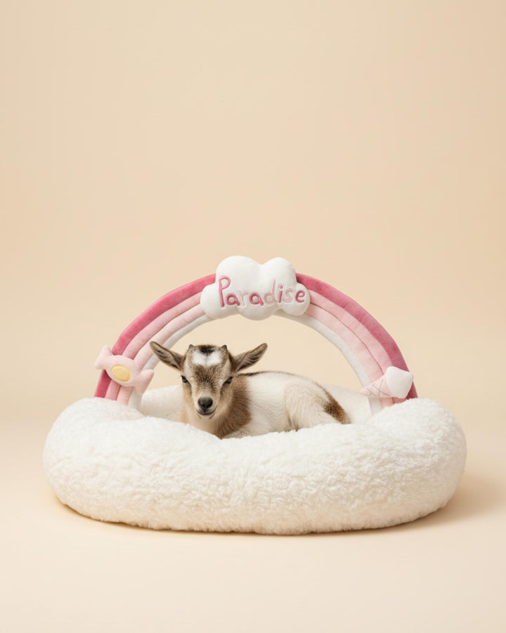 VLIZ Pets Rainbow Cloud Bed in Pink Or BabyBlue, handmade with imitation rabbit velvet fabric, featuring a cloud-shaped supportive base and detachable rainbow arch, Disney-certified quality.
