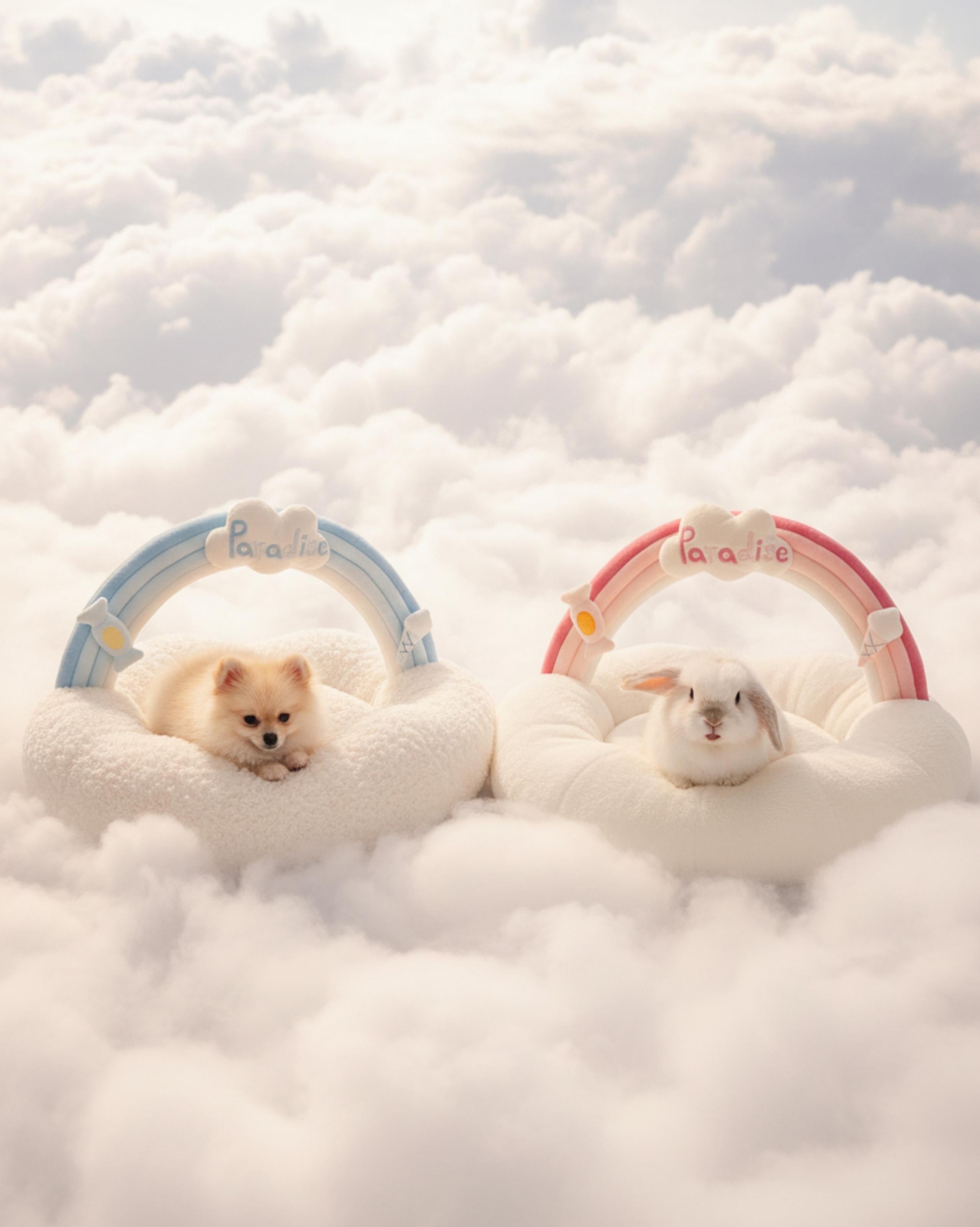 VLIZ Pets Rainbow Cloud Bed in Pink Or BabyBlue, handmade with imitation rabbit velvet fabric, featuring a cloud-shaped supportive base and detachable rainbow arch, Disney-certified quality.