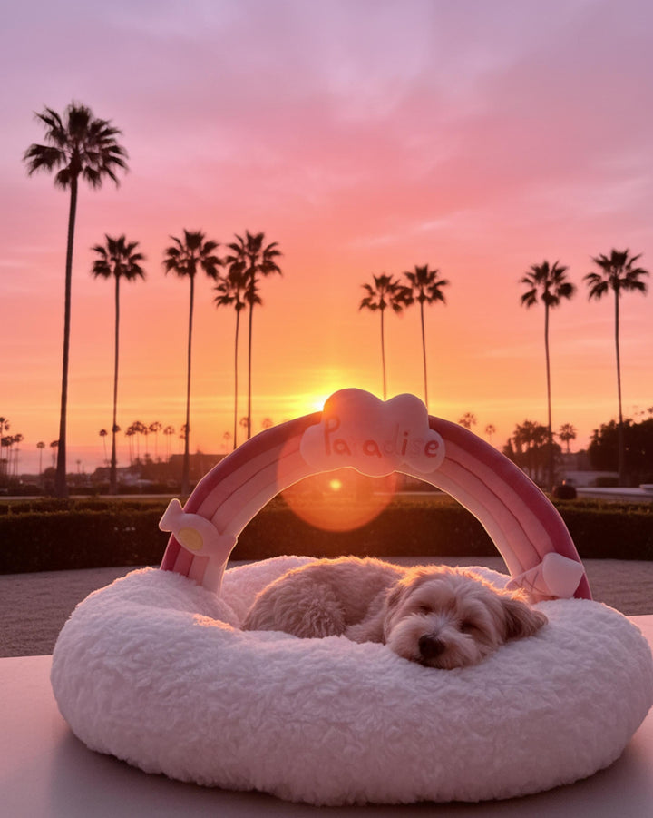 VLIZ Pets Rainbow Cloud Bed in Pink Or BabyBlue, handmade with imitation rabbit velvet fabric, featuring a cloud-shaped supportive base and detachable rainbow arch, Disney-certified quality.