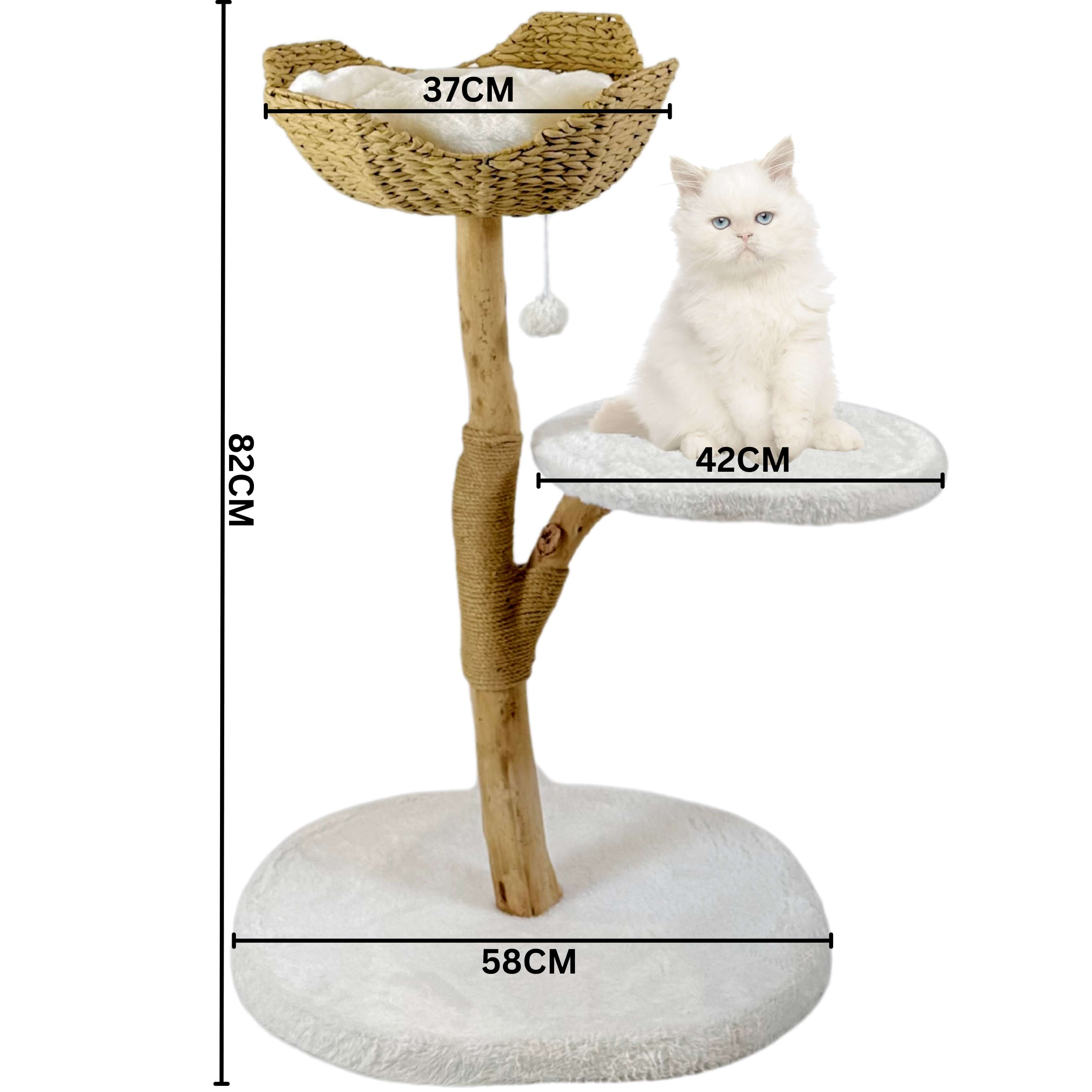 Natural wood cat tree with handwoven rattan cat bed and plush cushion.
Sturdy cat furniture with a plush-covered climbing platform and wide stable base.
Sisal scratching post and dangling plush ball toy for cat entertainment.